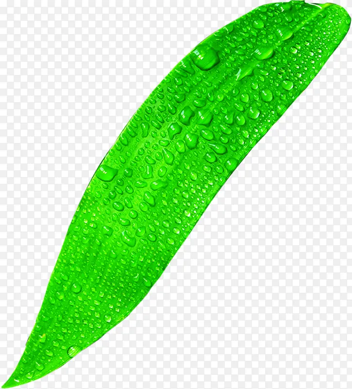 绿色竹叶水珠装饰