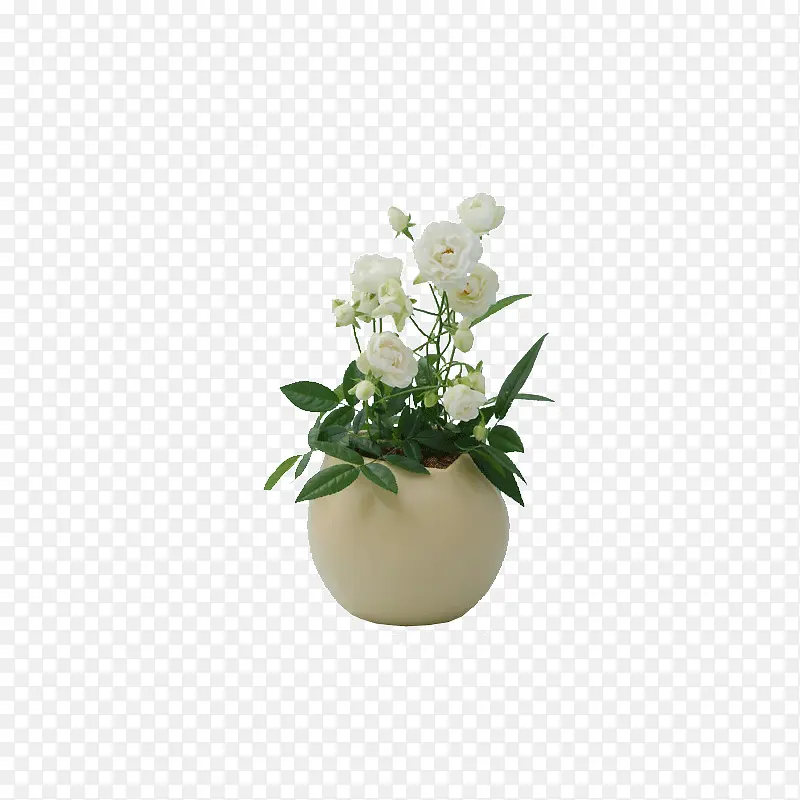 白色小花植物摆件