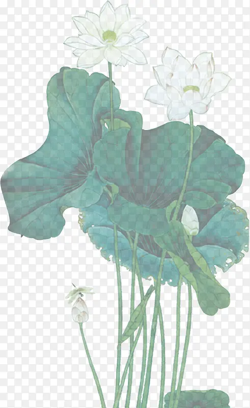 白色中国画荷花开业