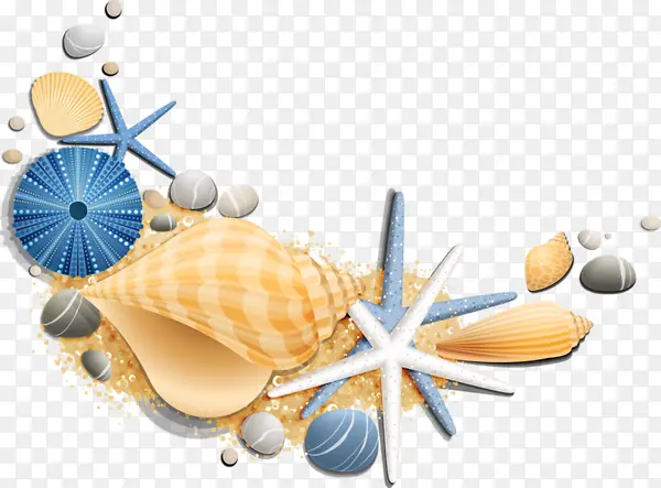 海星海螺海底素材