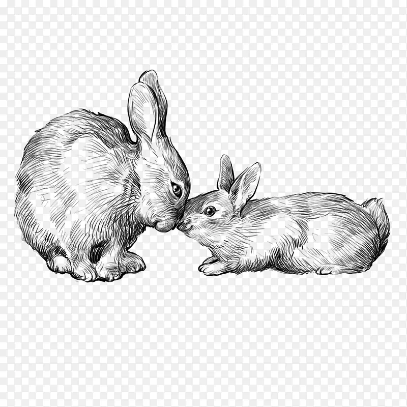 二只兔子