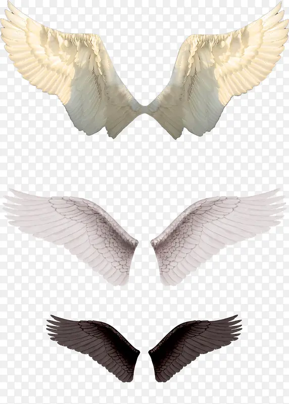 白色翅膀羽翼装饰图案