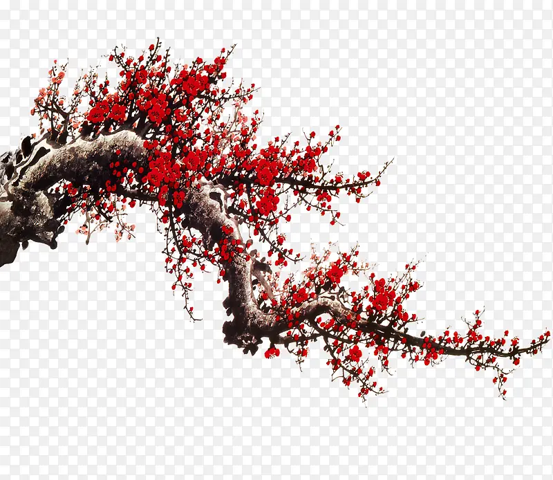 中式梅花PNG图片素材下载_图片编号qlveklzn-免抠素材网