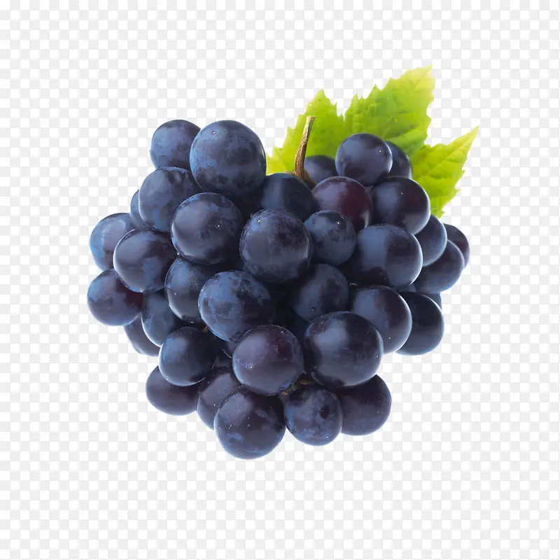 黑色生鲜葡萄提子