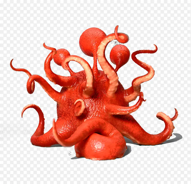 红色的章鱼图案