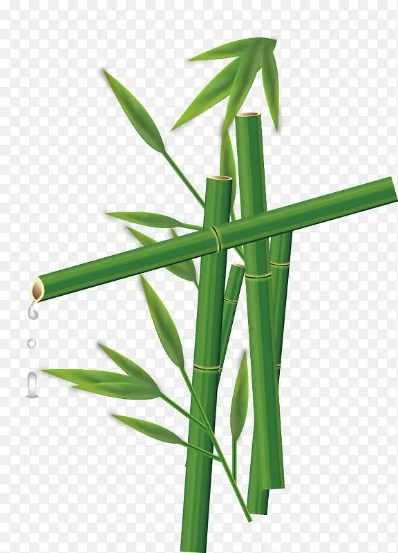 矢量手绘绿色竹子