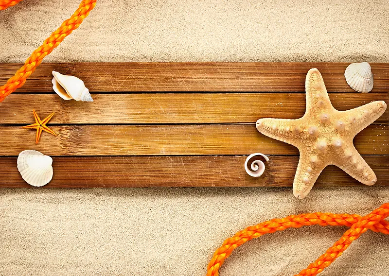 沙滩木板贝壳海星