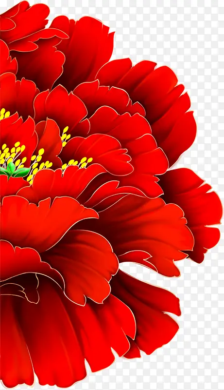 中秋节手绘高清红花