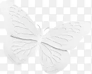 白色立体蝴蝶图片