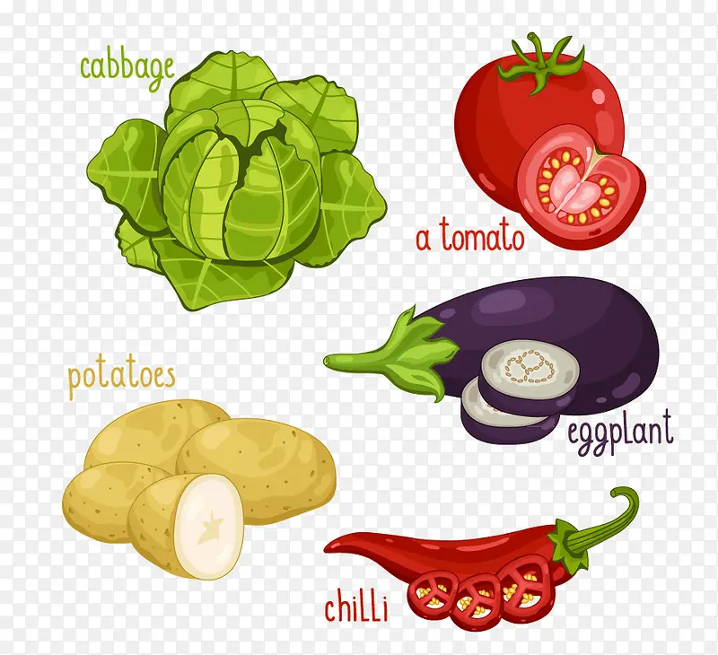 蔬菜和它的英文单词