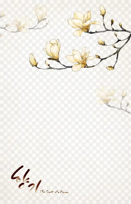 韩国手绘白玉兰PSD分层模板