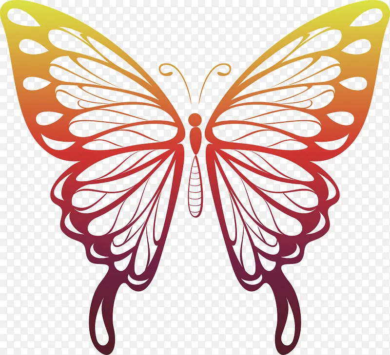 简笔画蝴蝶PNG图片素材下载_图片编号ykpjblra-免抠素材网