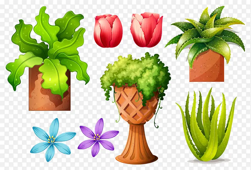 各种植物