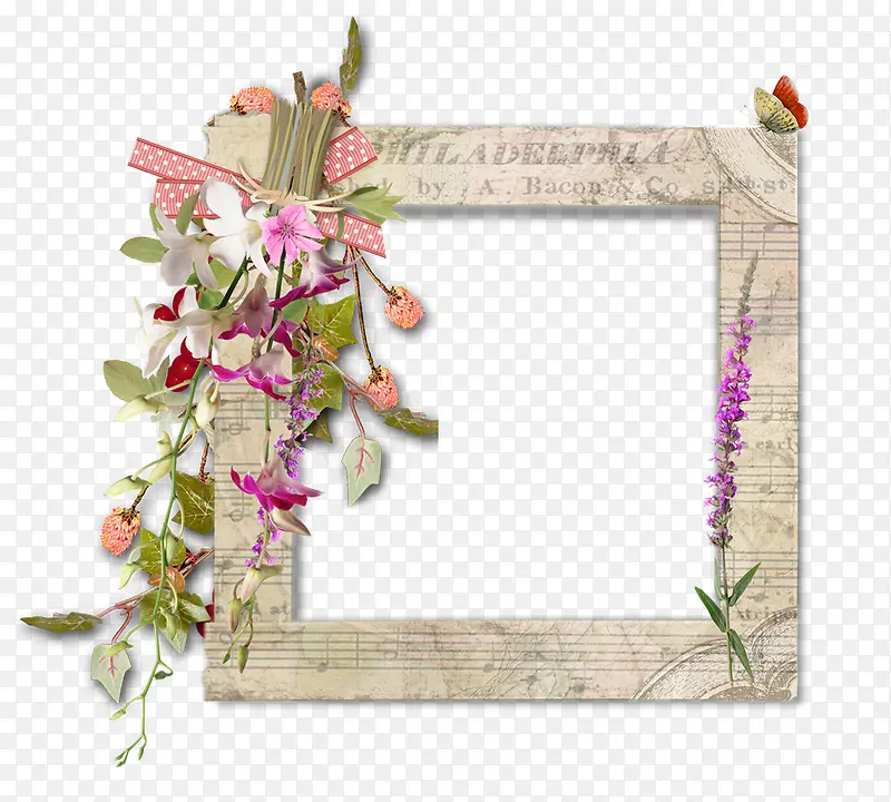 创意花卉边框图片植物花卉边框素