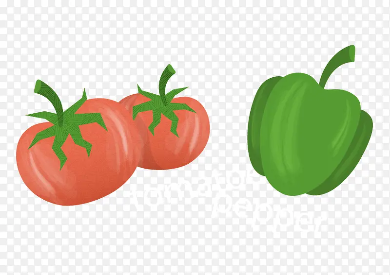 番茄青椒灯笼椒食材矢量图