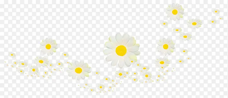 漂浮小花