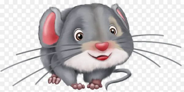 灰色小鼠