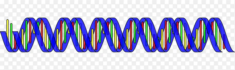 蓝色DNA双螺旋图形