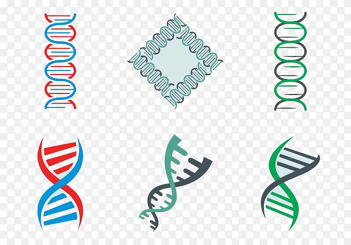 DNA双螺旋矢量图片
