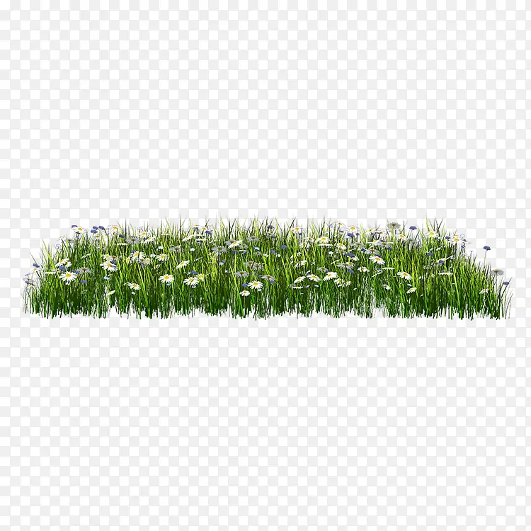 花草坪