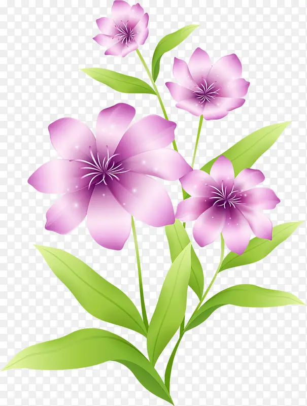 紫色高清花
