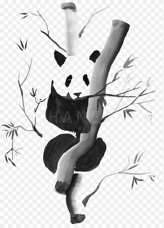 中国风水墨熊猫