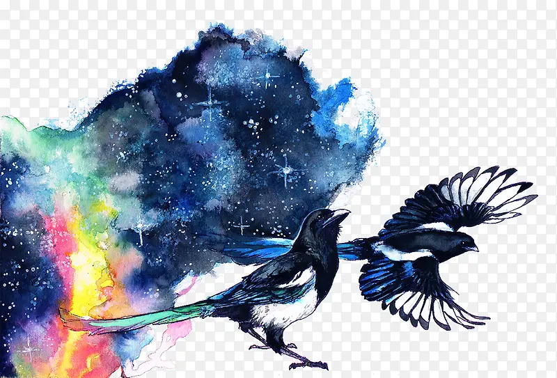 星空和鸟