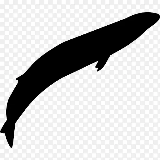 灰色的鲸鱼的形状图标