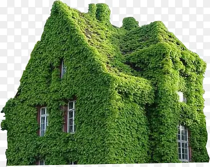爬满绿色植物的别墅