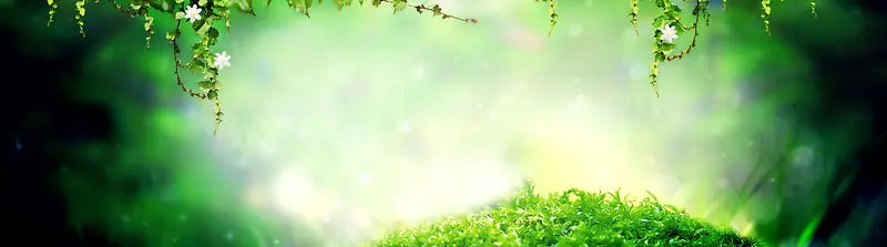 淘宝 天猫 通用海报背景banner