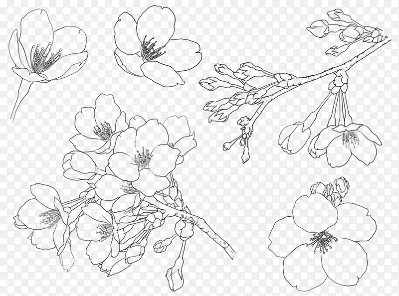 花朵  黑白装饰画