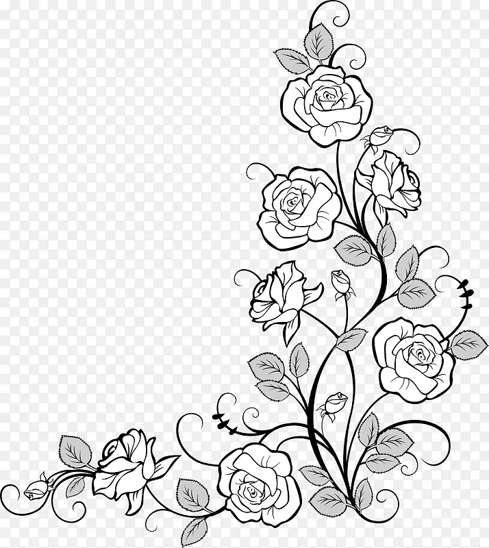 玫瑰花装饰图
