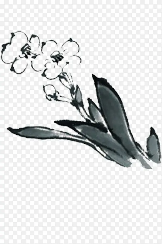 手绘杏花