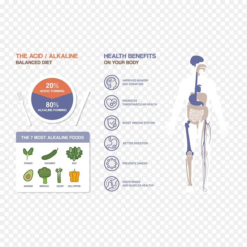 健康饮食分析图表