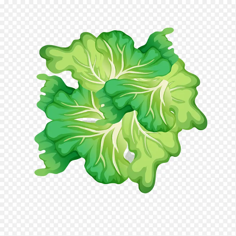 绿色卡通蔬菜生菜