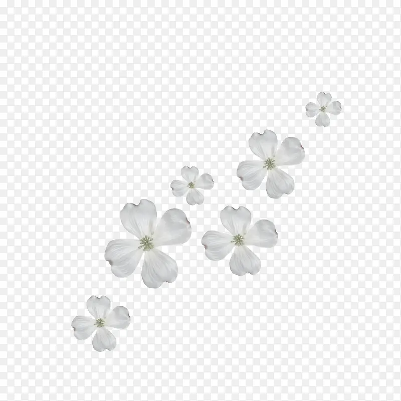 古典花纹素材镂空花纹图片  精