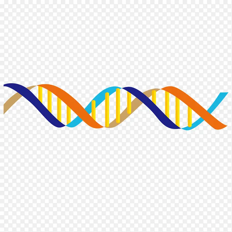 创意人体DNA双螺旋