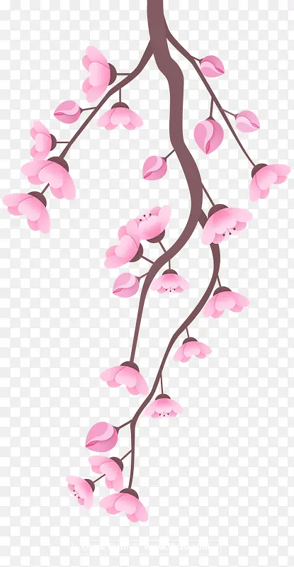 手绘精美梅花枝装饰