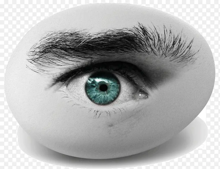 鸡蛋上的眼睛