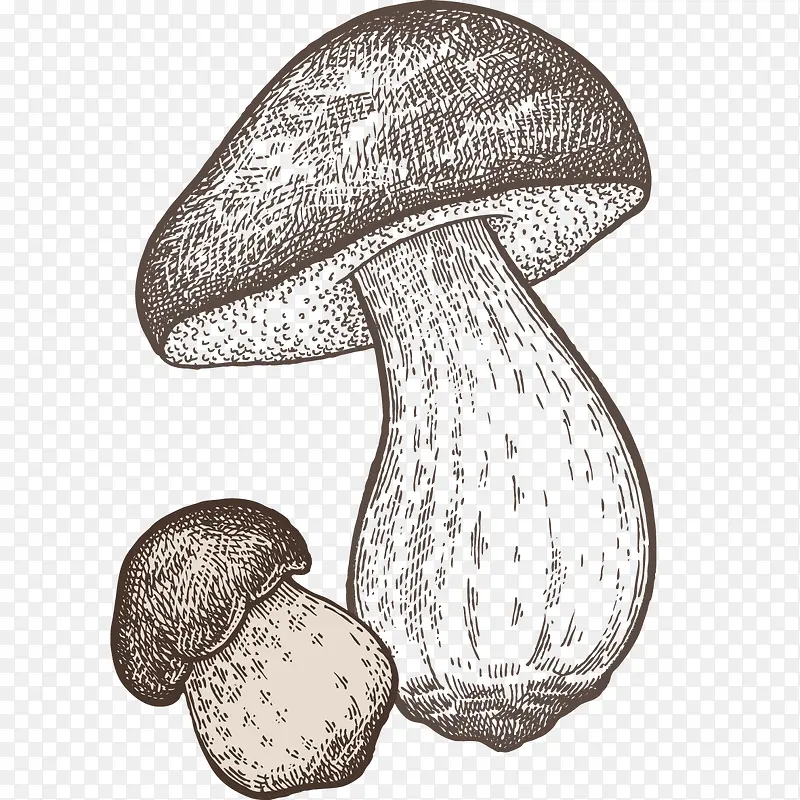 线描大小蘑菇