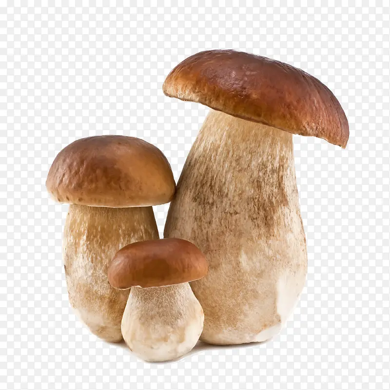 蔬菜蘑菇