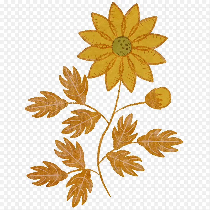 金色手绘菊花图案纹样