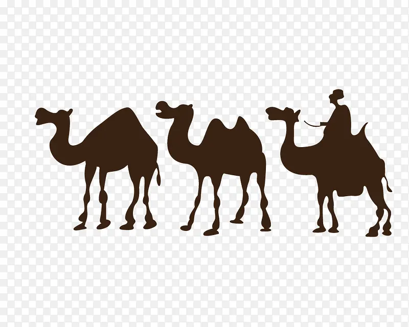 骆驼剪影