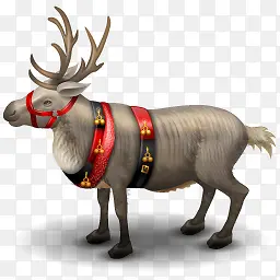 reindeer圣诞麋鹿