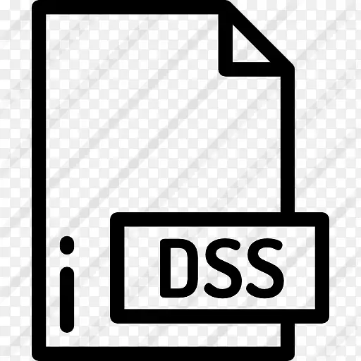 DSS 图标