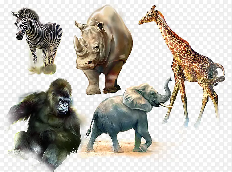 五种动物