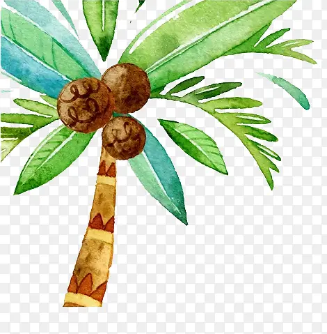 手绘水彩椰子树