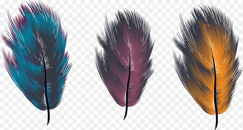 矢量手绘三色羽毛