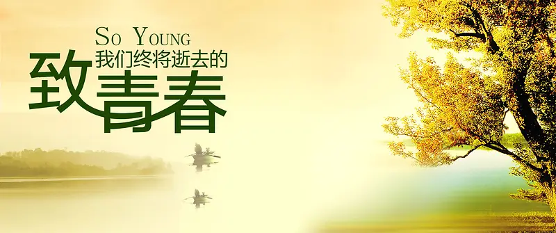 致青春秋季秋景背景banner