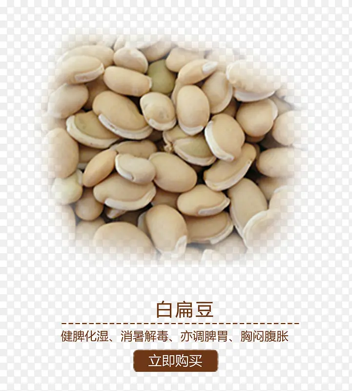 白扁豆
